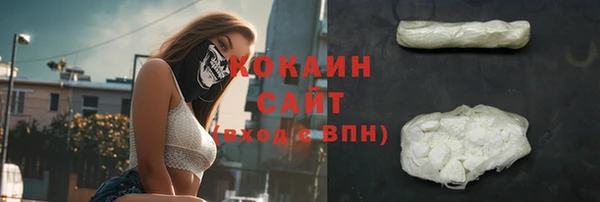 спиды Краснослободск