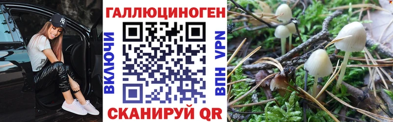Псилоцибиновые грибы ЛСД  Владикавказ 